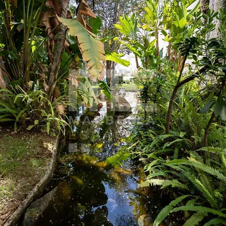 Planta Jardin Con Gran Terraza, Soleado 132 Marbella