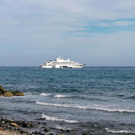Planta Jardin Con Gran Terraza, Soleado 132