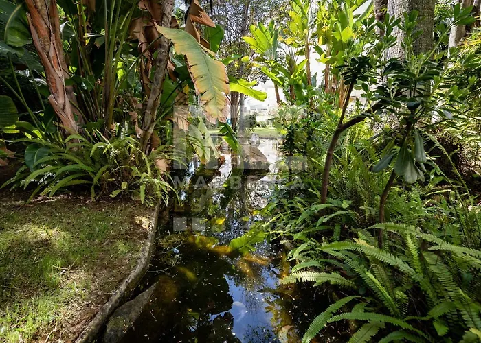 Planta Jardin Con Gran Terraza, Soleado 132 Marbella